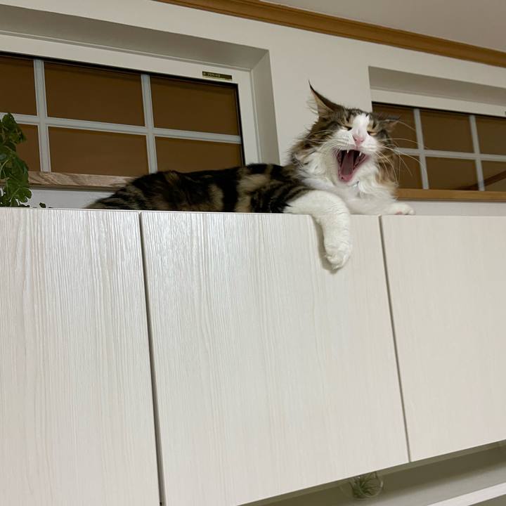 120426ce 3618 4301 b889 fe079ba7b1bc 1643573870506