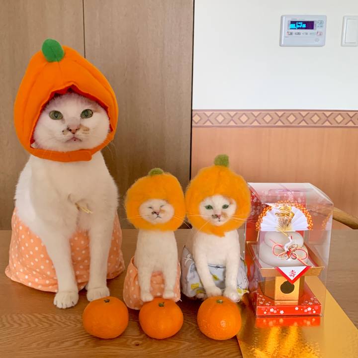 12043ab9 2682 4ec2 a265 b13f91b077b7 1546348839813