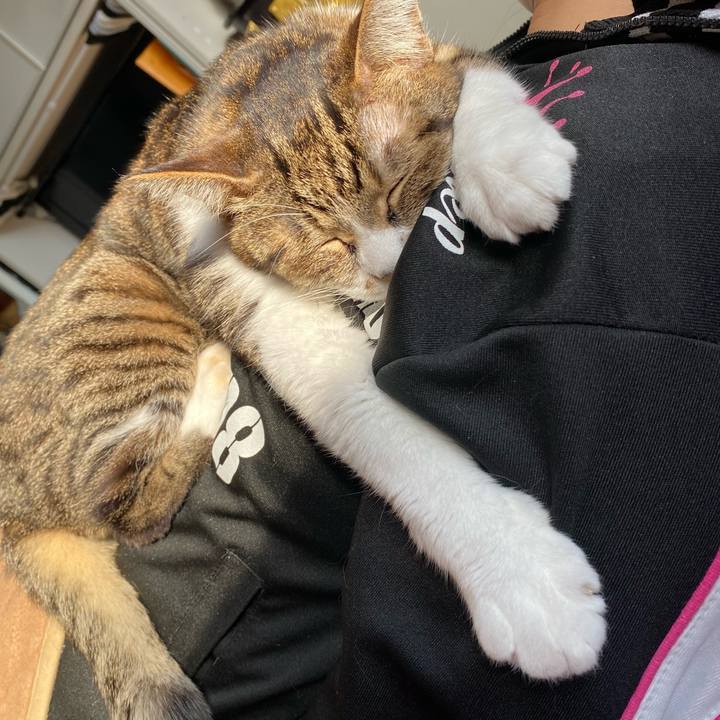 120450b7 ff50 4349 bf72 78af3ae7f85a 1642653638878