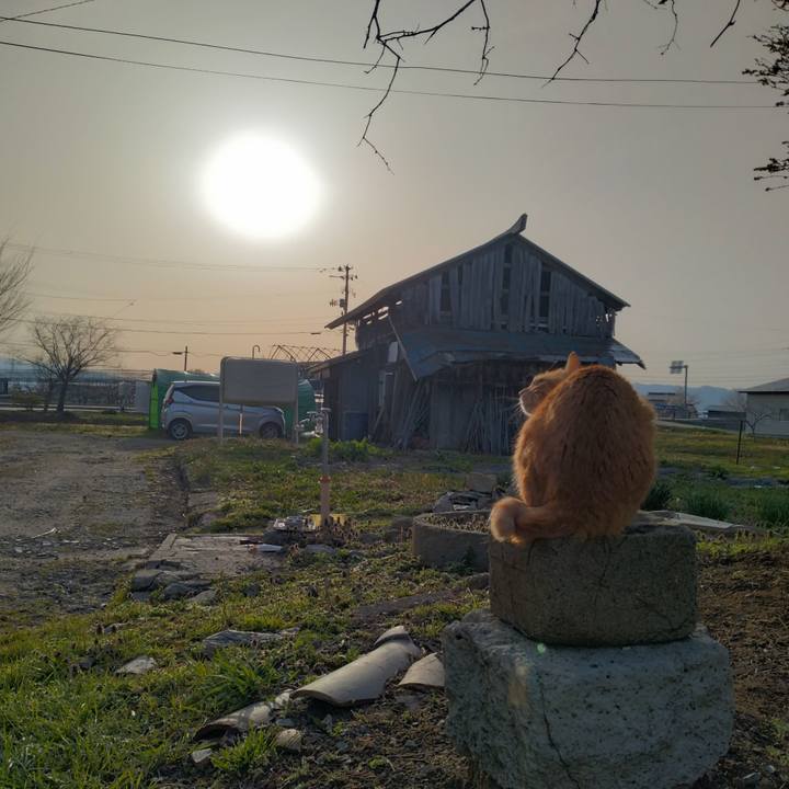 12047552 3246 415e a624 e74ce48d28f0 1681165654103