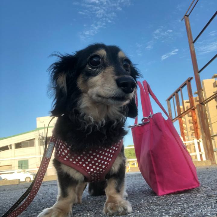 120476d7 3974 4742 9ae3 747e759401c1 1560762361247