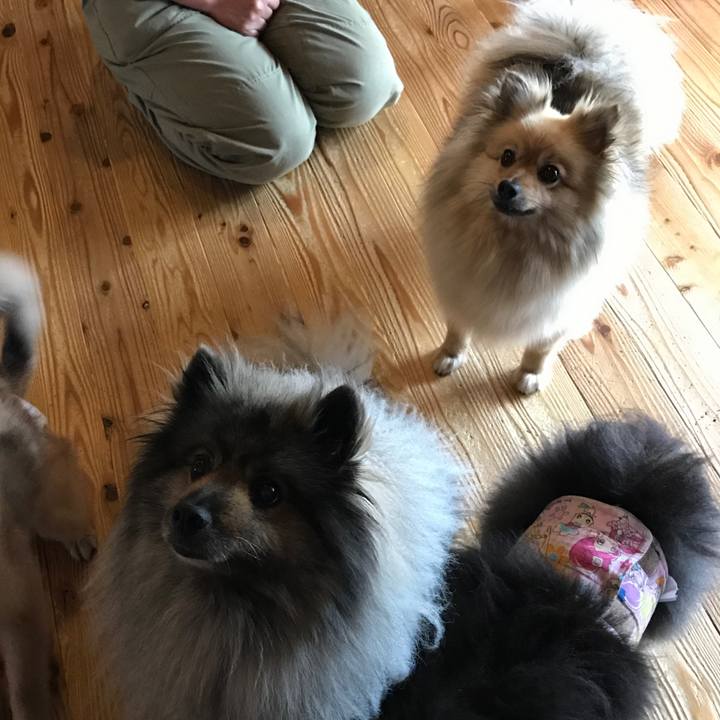 1204900c 106d 4e08 b6d6 c924e66f42ab 1573645661911