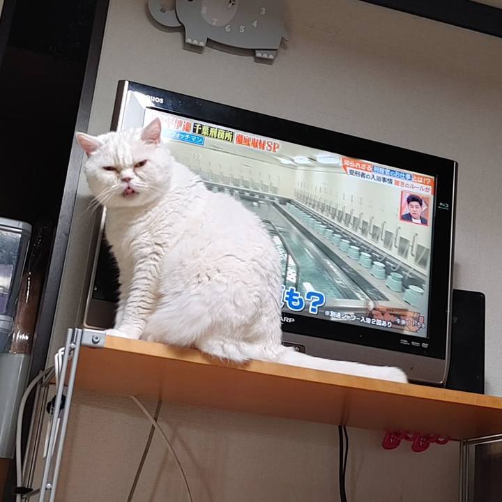 1204a565 6342 4b0c bcb4 e46d4d5c5f5d 1736912894965