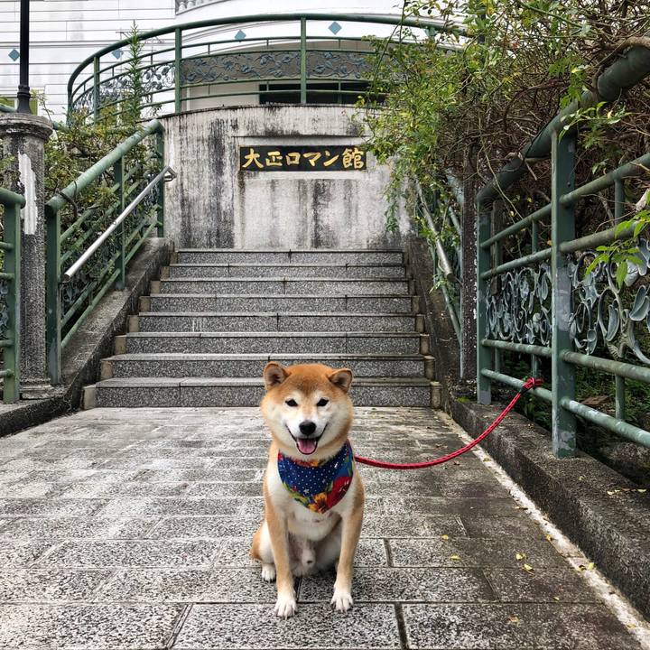 1204bc05 f0ee 44ad 8031 b5d54e9ead38 1536896043926