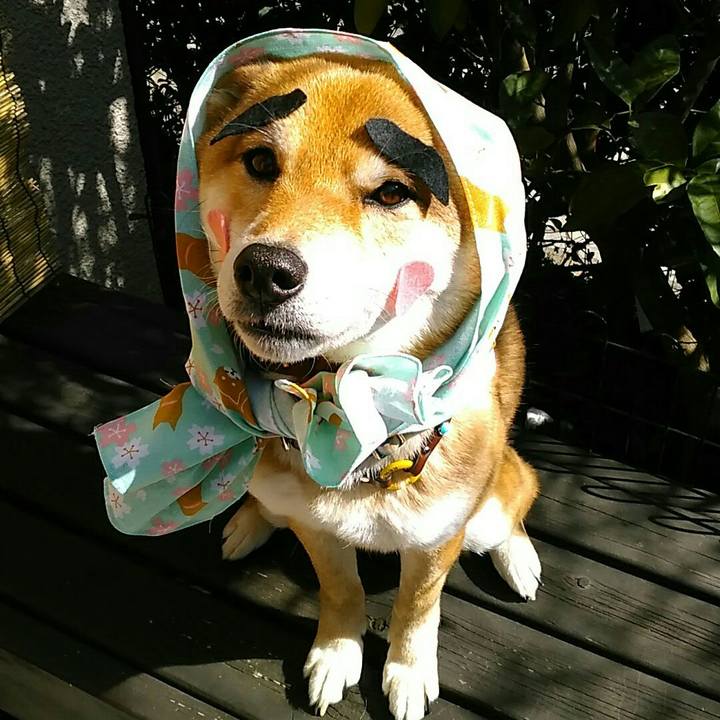 1204d301 f1bd 4720 9553 527ad2d64bc8 1550627444914