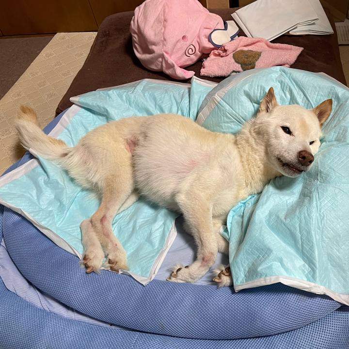 1204d3fd 3046 4278 aafe 1f2d46c3ca72 1679567012411