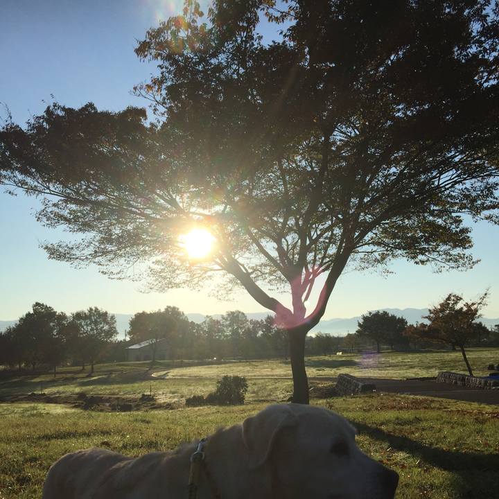 1204e0c0 2649 4a90 bb7b 42001c7319c8 1569972470790