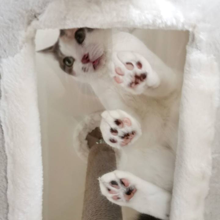 12050096 b5f5 44a3 9976 ee1c7b092bf2 1630058955518