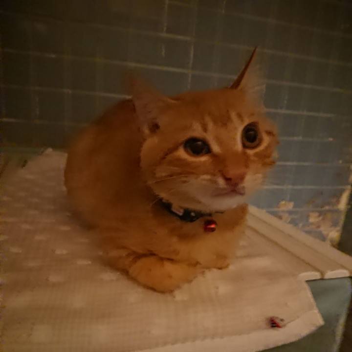 12052b34 595e 4505 9eba 8cc443aae27d 1634031516800