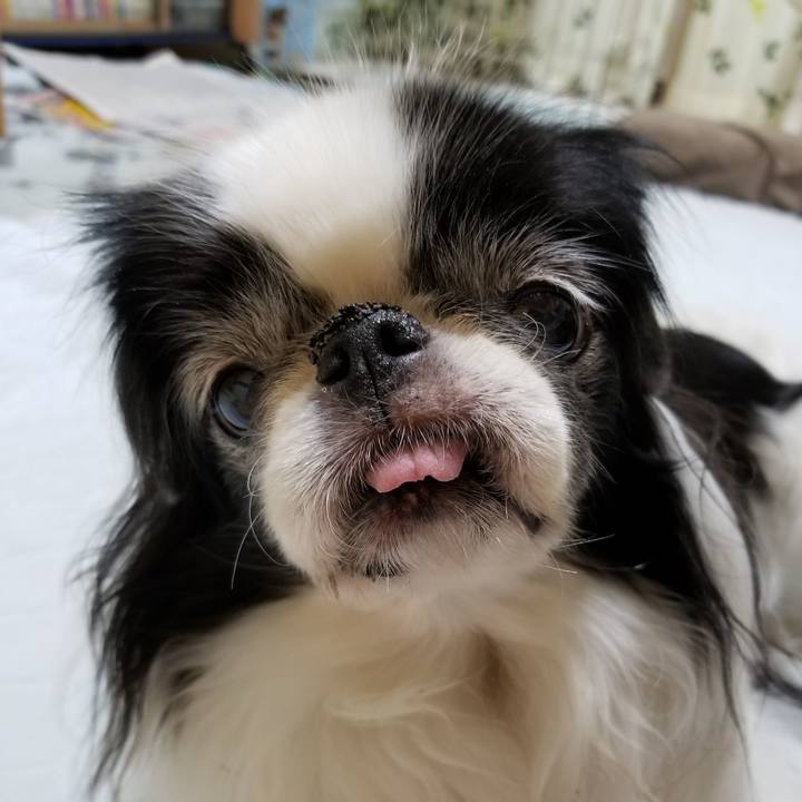 1205718b 913d 4464 9926 693c1fdba5c0 1538476117273