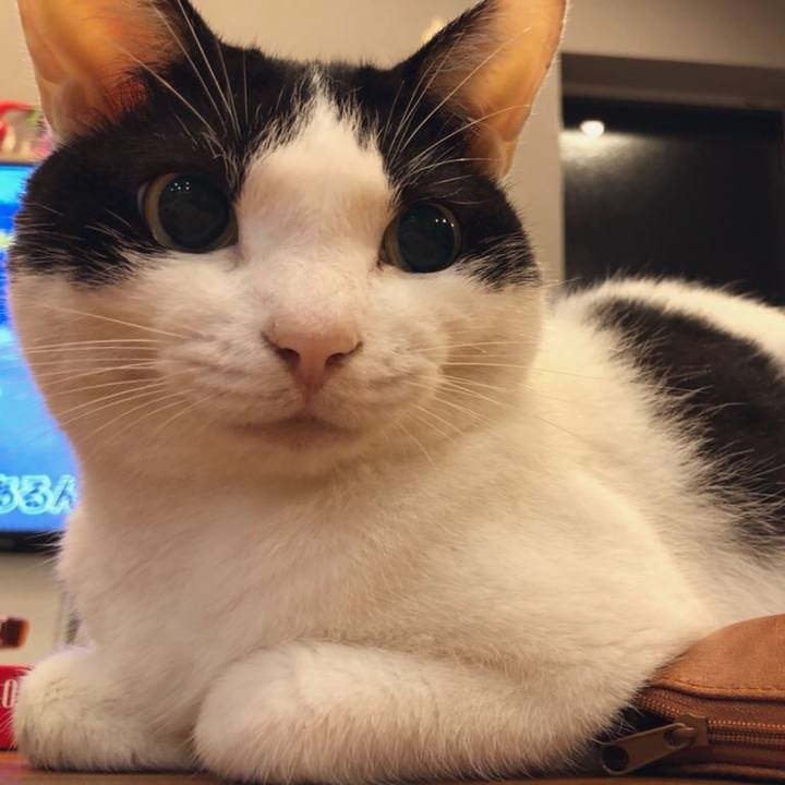 120572df 683e 4f87 806b ceb9cc61bb89 1661167034603