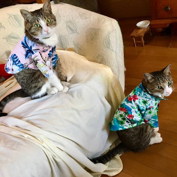 1205c967 5a41 4e62 b273 c48eeb895f63 1694833008106