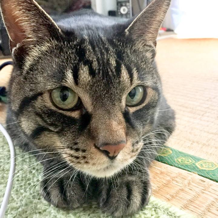 1205d712 f56a 4779 81d4 222e51c795a9 1617435786319