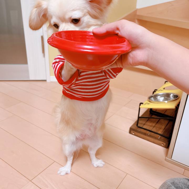 1205daff d5d0 4530 a4f4 c4fe32ded4c4 1661762404240