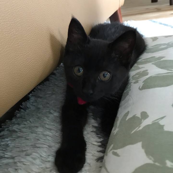 1205de1f 38ed 4610 ba20 a2b878bbf3c9 1660623522753