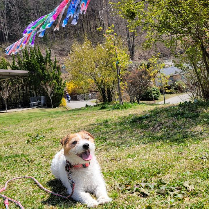 12063953 e9e9 4e53 88bc bbe5818967db 1714909630294