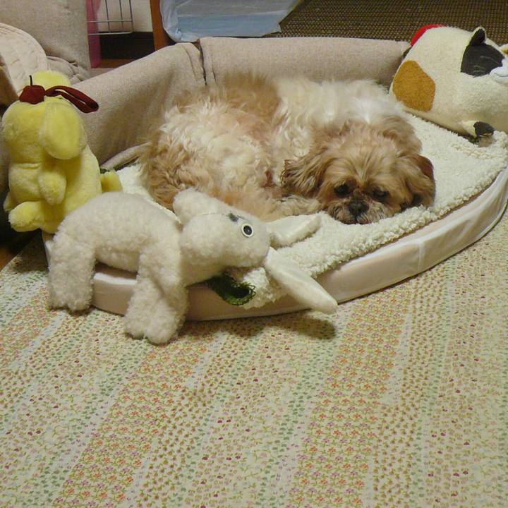 12063b2a 7a9b 4a2e b2bd f81d38fa766d 1521763923721