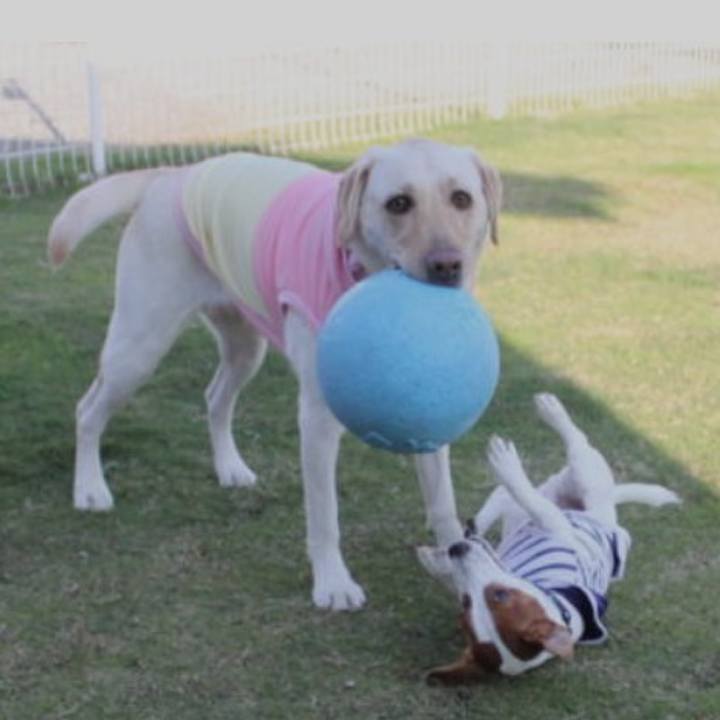 12066350 a1e4 4052 874d d4164f436ae9 1509263612855