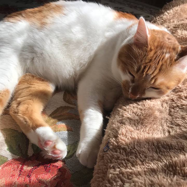 1206a979 0593 4539 8f28 d4c543ac3952 1581219797937