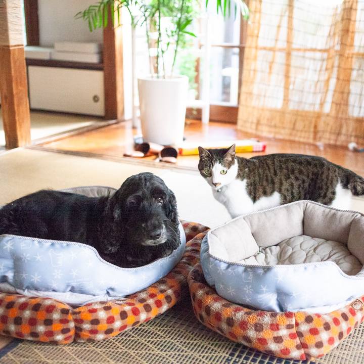 1206b74a be85 4cfd 9b84 83026f2adfa7 1563764165702