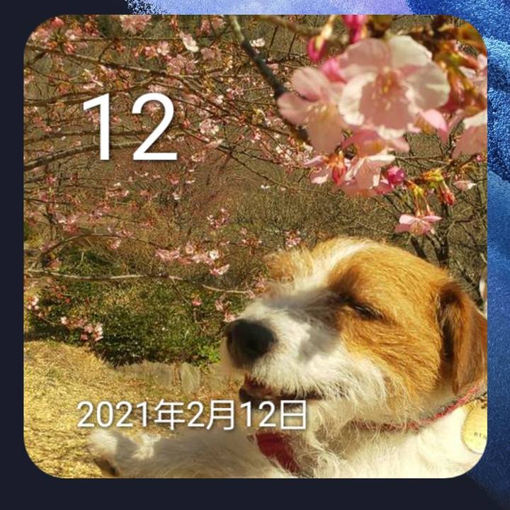 1206b828 344f 4318 932c 4e5fd2ae42c6 1644609702730