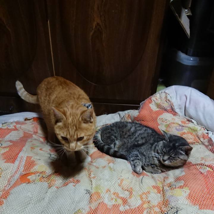 1206dfc0 d058 4979 a971 2b0b9716f4a8 1572438789869