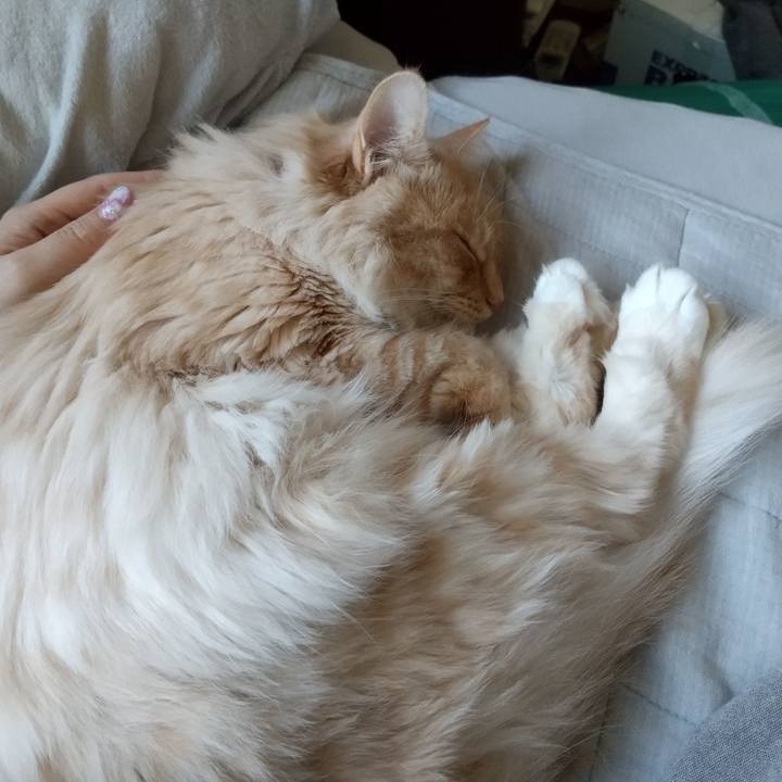 1206f642 8dab 4f5e a9ab b9ccc2c5afbe 1647745118684