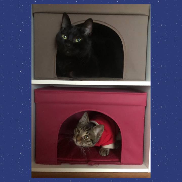 1206fd7b e570 4a81 bc20 e199dc3b89d8 1730531542101