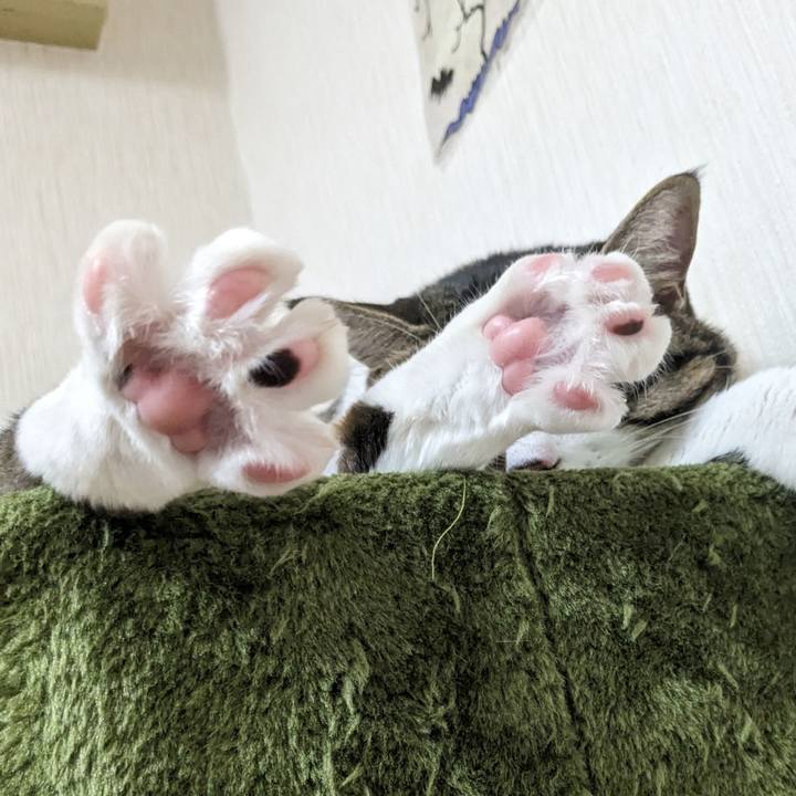 12071934 18bf 46af a6f3 130645a7c9e4 1692073039295