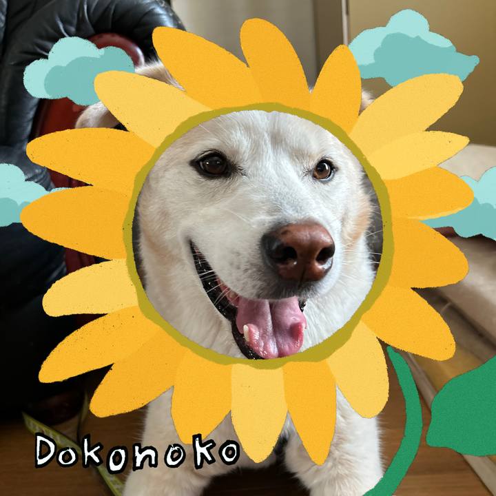 12072749 1c39 425a b346 b9a3ce4c8e85 1723345634349