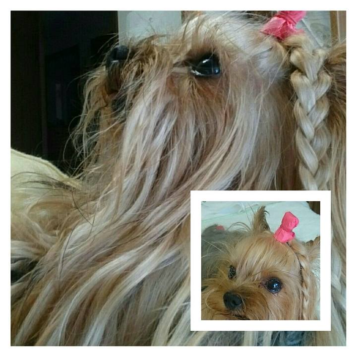 12075578 9698 4357 8276 1074d9eb2b42 1534467928830