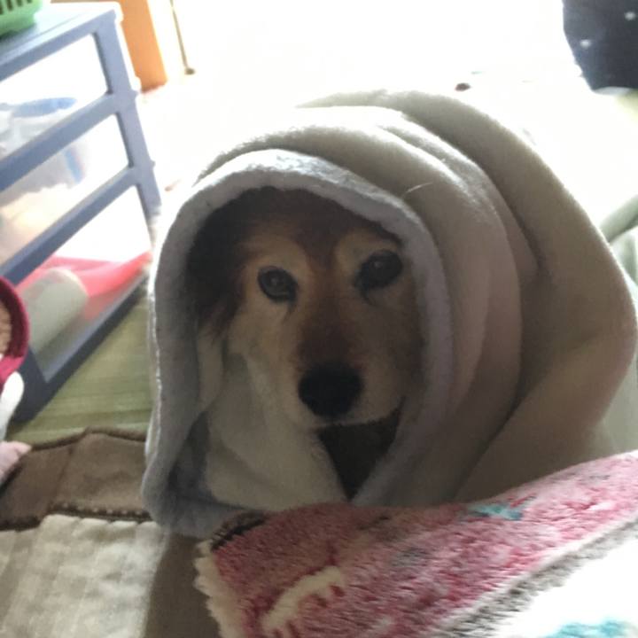 12076140 b2e3 4545 ae33 8d9ea83bd164 1575782418443