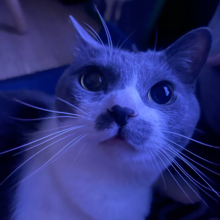 1207702f febc 4ef8 a02a f68c8c113ebe 1749925865843