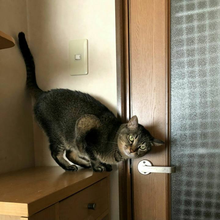 12077a4f 77c4 4041 b702 481c5e07f463 1608772420702