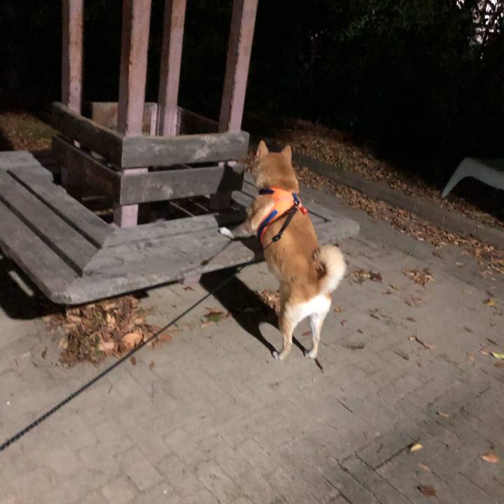 120797be 2a0c 4b13 9d17 0d04d37b22fe 1606217037523