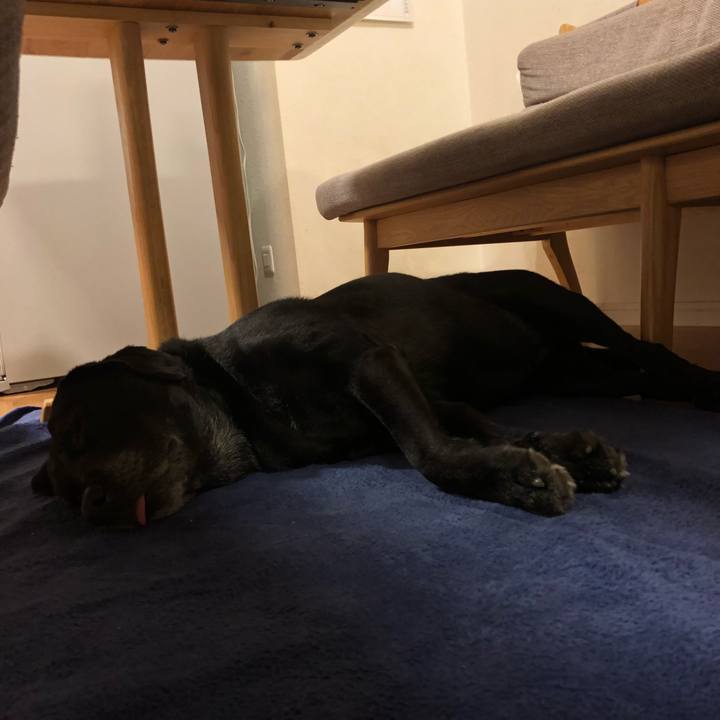 1207cea0 1b5d 4f48 b185 347d9cee6924 1539185090202