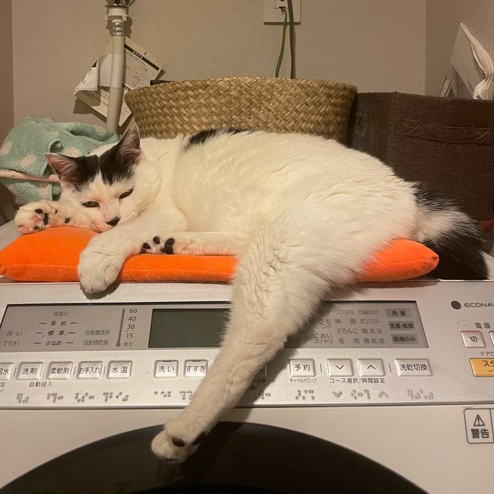 1207e067 11f8 467a 8928 5ff6d6da5757 1737892255400