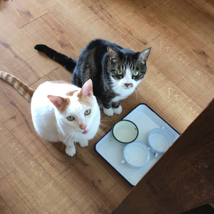 1207ea73 6e6f 474b aa6a 2f9d3285373f 1521852881796