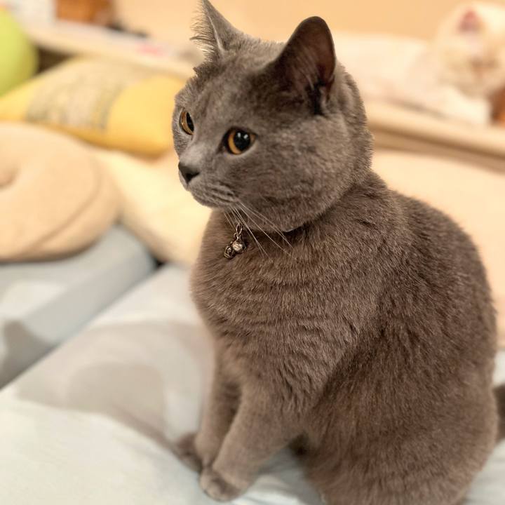 1207fc64 6548 4d1a adf1 bc9417120ca8 1695951545731