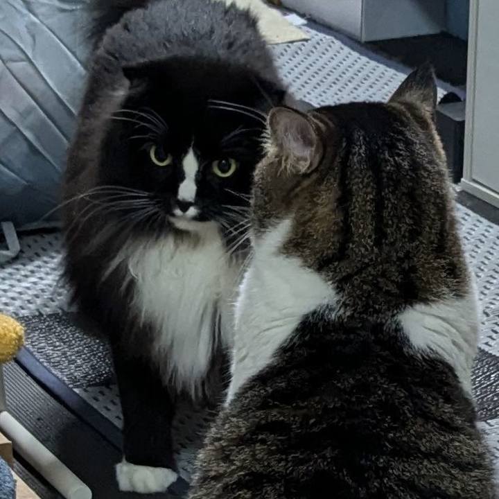 12082ef7 c724 405a bab5 106badaf7c05 1724015647478