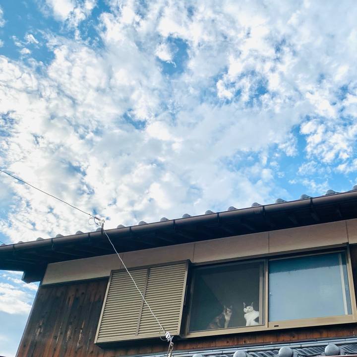 1208c3c9 320a 493a b1dc e4fefd3568aa 1661504389293