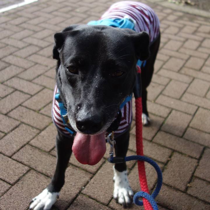 1208c880 981b 4276 8265 42af45a90fd1 1626393864349