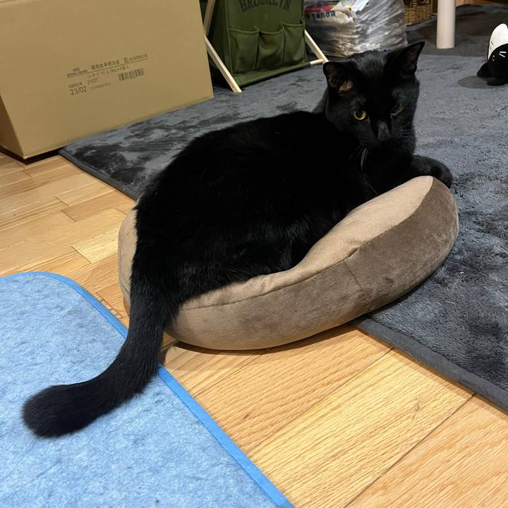 120919b3 ee2a 4db0 878f cdd106f8cd25 1651416394658