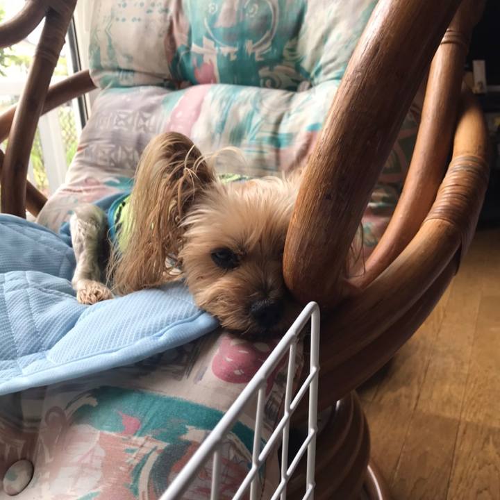 12093f64 f6f1 4261 b8f2 19c1236c0dbb 1592990836761