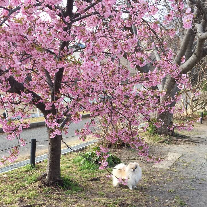 12097374 f273 4bd2 a059 5a7b52d78108 1614565759842