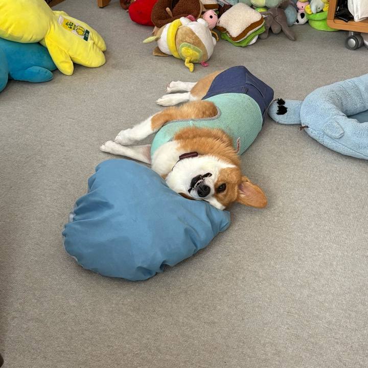 12097b56 cfa6 4dd2 be5a 91b0eb506a2d 1757984053737