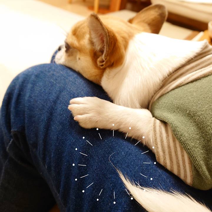 1209a130 4f23 42ec 97be 23a70252886e 1715854384643