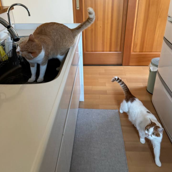 1209ac59 9ae3 4713 8b5c 2190f171cf67 1763164683207