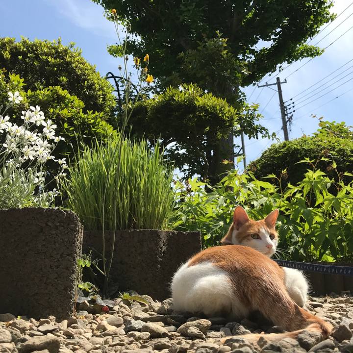 1209b74b c33b 414b 917c 3da31726e054 1526964807252