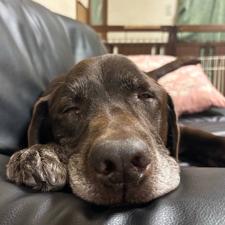 1209bf77 cea4 4756 8b3d 91e796271f2a 1759318085223